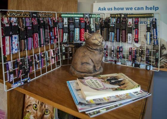 A display of different collars for sale in the office