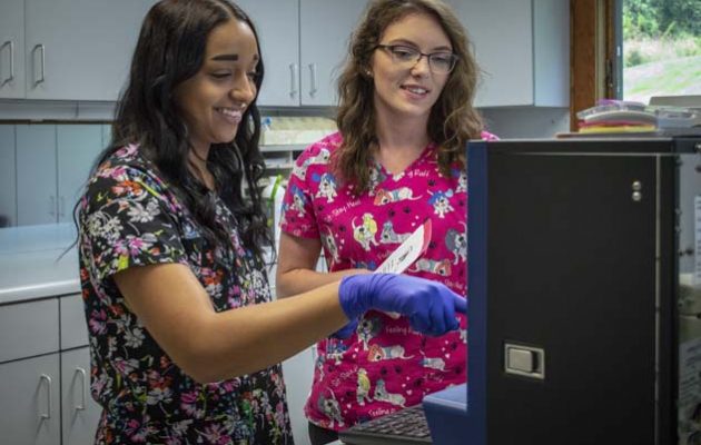 Two team members working in the lab