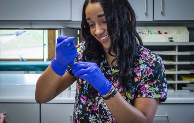 A team member preparing an injection